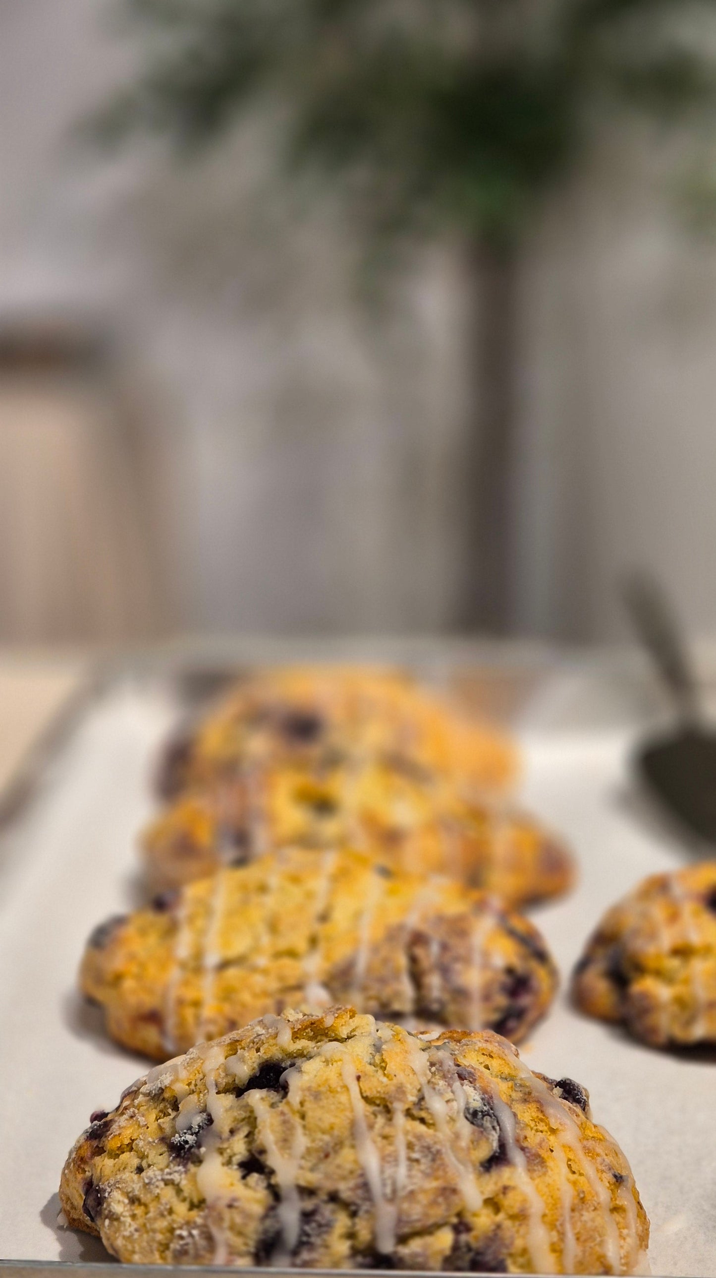 Saftig surdeigsscone m/blåbær & sitronglaze